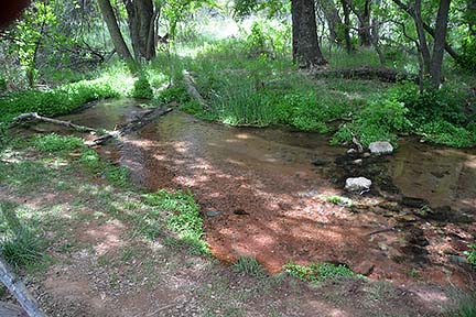 Sycamore Creek, Sycamore Canyon, April 16, 2015